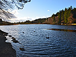 Wanderung von Deisenhofen durch das Gleißental zum Deininger Weiher