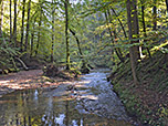 Wanderung von Starnberg durch die Maisinger Schlucht zum Maisinger See